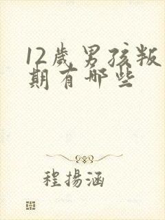 12岁男孩叛逆期有哪些