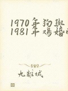 1970年狗与1981年鸡婚配
