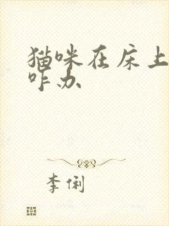 猫咪在床上乱尿咋办