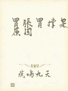 胃胀胃撑是什么原因封面