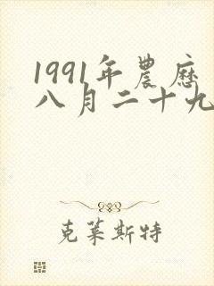 1991年农历八月二十九生的人命运