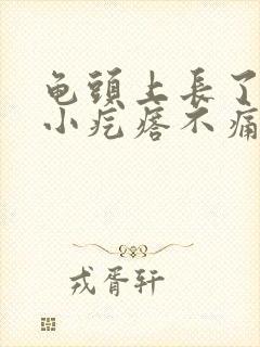 龟头上长了几个小疙瘩不痛不痒