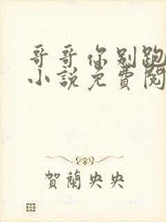 哥哥你别跑原著小说免费阅读封面