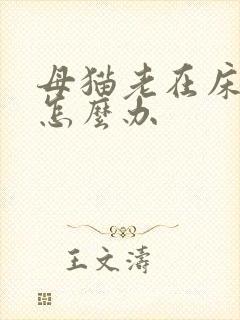 母猫老在床上尿怎么办