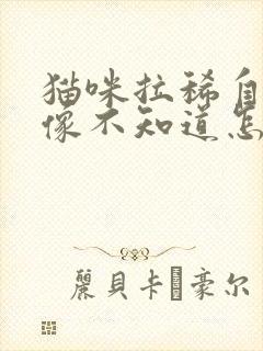 猫咪拉稀自己好像不知道怎么回事