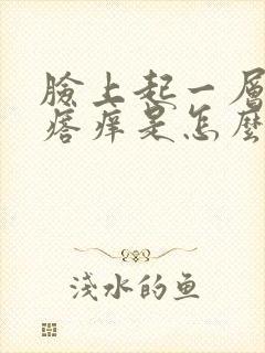 脸上起一层小疙瘩痒是怎么回事