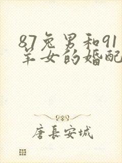 87兔男和91羊女的婚配