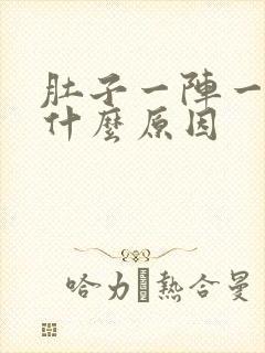 肚子一阵一阵痛什么原因封面