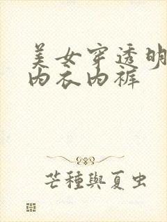 美女穿透明蕾丝内衣内裤