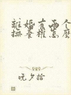 离婚有两个小孩抚养权怎么判定