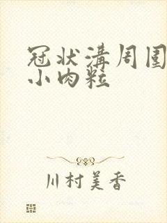 冠状沟周围一圈小肉粒