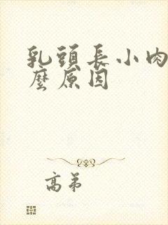 乳头长小肉粒什么原因