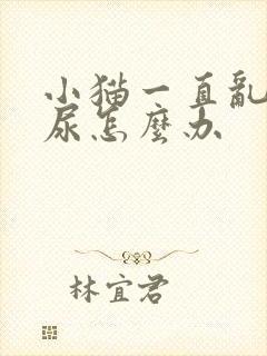 小猫一直乱拉乱尿怎么办