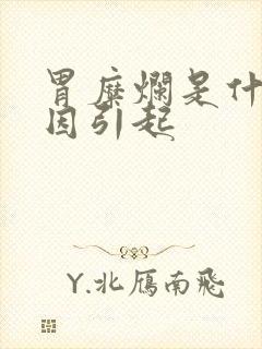 胃糜烂是什么原因引起