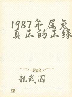 1987年属兔真正的正缘在二婚