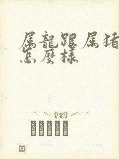 属龙跟属猪姻缘怎么样