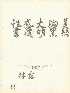 性感大胸美女秘书透明黑丝