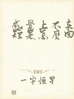 感觉上不来气气短是怎么回事呢?