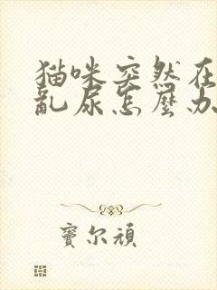 猫咪突然在家里乱尿怎么办