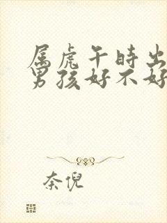 属虎午时出生的男孩好不好