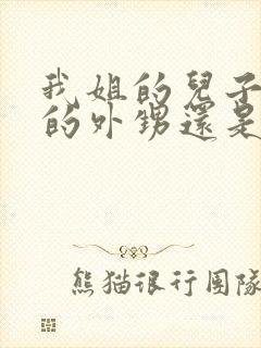 我姐的儿子是我的外甥还是侄子封面