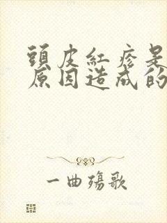 头皮红疹是什么原因造成的