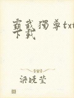 霸武独尊txt下载