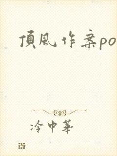 顶风作案po封面