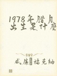 1978年腊月出生是什么命