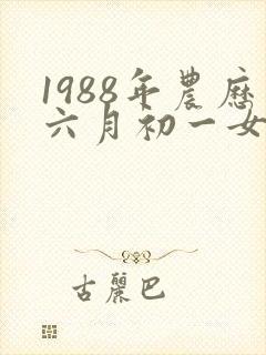 1988年农历六月初一女生命运封面