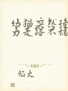 幼猫突然后腿无力走路不稳封面