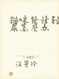 猫咪发情到处乱尿怎么办