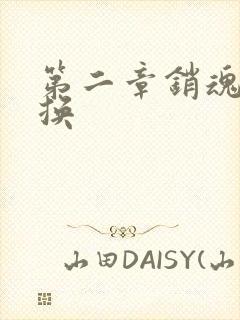 第二章销魂的交换封面