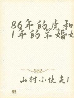 86年的虎和91年的羊婚姻相配吗封面