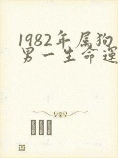 1982年属狗男一生命运如何封面