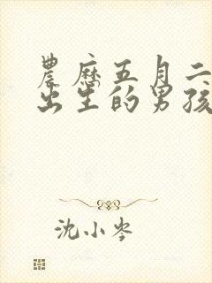 农历五月二十六出生的男孩命运好吗