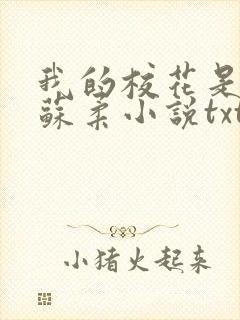 我的校花是福姬苏柔小说txt封面