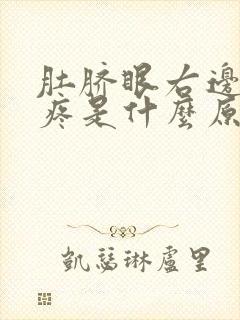 肚脐眼右边周围疼是什么原因