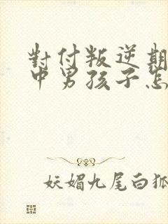 对付叛逆期的初中男孩子怎么办