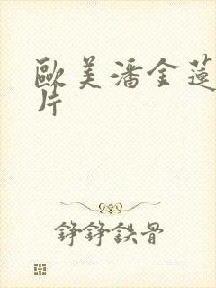 欧美潘金莲一级片