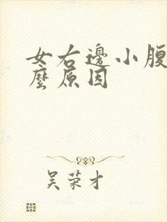 女右边小腹痛什么原因封面