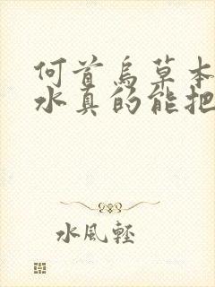 何首乌草本洗发水真的能把白发洗黑吗?封面