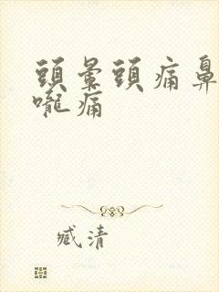 头晕头痛鼻塞喉咙痛