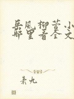 岳风柳萱小说在哪里看全文封面