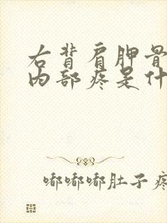 右背肩胛骨下部内部疼是什么原因封面