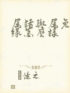 属猪与属兔的姻缘怎么样封面