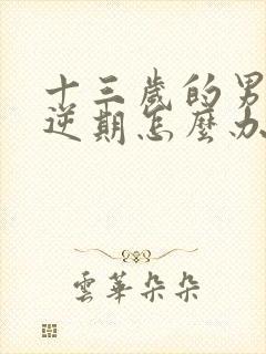 十三岁的男孩叛逆期怎么办