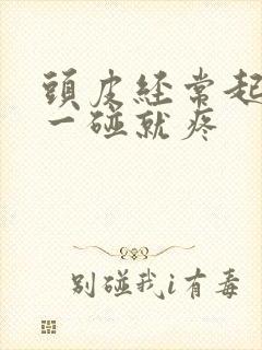 头皮经常起疙瘩一碰就疼