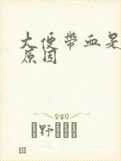 大便带血是什么原因