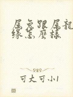 属兔跟属龙的姻缘怎么样封面